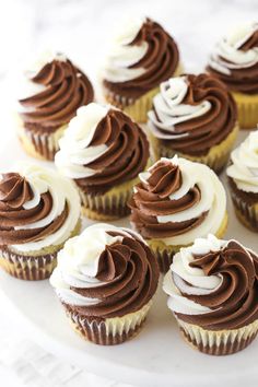 cupcakes with chocolate frosting and white icing are arranged on a plate