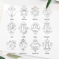 the zodiac signs are drawn on paper next to some flowers and leaves, with one letter in