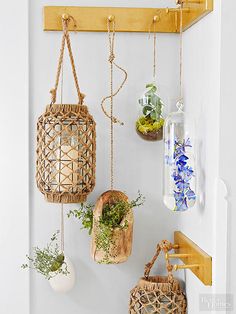 some plants hanging from hooks on a wall with other items in them and an advertisement for the store