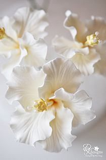 three white flowers are in a glass vase