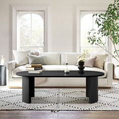 a living room with a couch, coffee table and potted plant