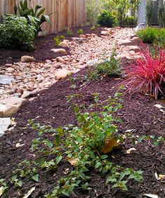 there is a red fire hydrant in the middle of this flower bed and garden