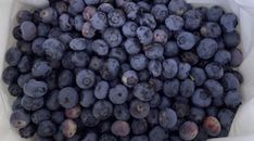 blueberries are in a white bowl on the table