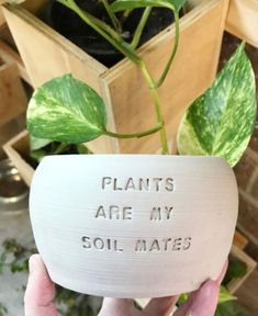 someone holding up a plant that says, plants are my soil mate's in front of them