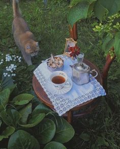 a cat standing next to a table with food and drinks on it in the grass