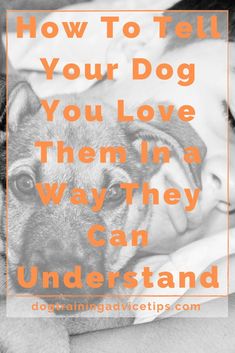 Verbal communication is the easiest way to tell someone you love them but human beings & dogs don’t share the same language. Here are 8 ways to tell your dog you love them in a way they can understand. #dog #dogcare #doghealth #dogfacts #doglover #doglove #doglife #dogcaretips