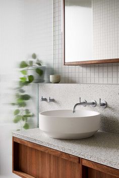 a bathroom sink sitting on top of a counter next to a mirror and potted plant