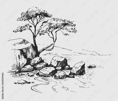 an ink drawing of rocks and trees on the shore with water in the foreground