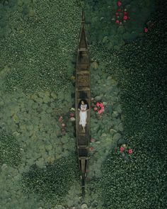 an aerial view of a person in a boat on the water surrounded by plants and flowers