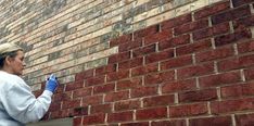 a woman in blue gloves painting a brick wall