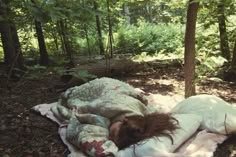 a person laying on a blanket in the woods