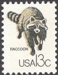 a postage stamp with a raccoon on it's face and the words raccoon