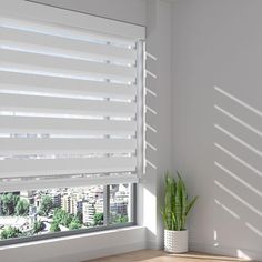 a white window with blinds on it and a potted plant next to the window