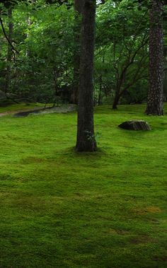 a bench sitting in the middle of a lush green park with rocks and trees around it