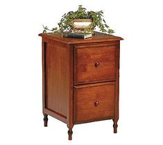 a wooden cabinet with two drawers and a potted plant on top