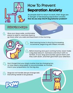 an info sheet describing how to prevent your dog's teeth from biting and scratching