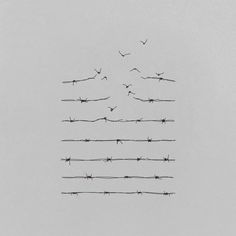 birds are flying over barbed wire on a gray sky background in this black and white photo