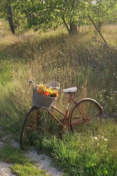 an old bicycle with a basket full of flowers on the side of a dirt road