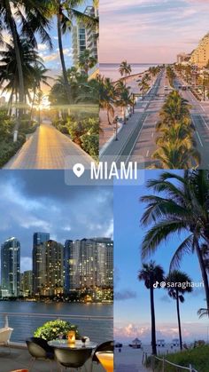 four different pictures with palm trees and buildings in the background