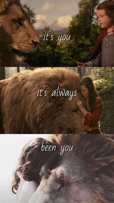 the lion and the lamb are in different scenes