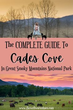 the complete guide to cades cove in great smoky mountains national park with text overlay