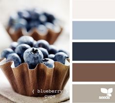 blueberries are in paper cups with brown and gray color palettes on the side