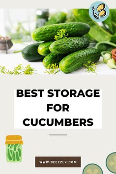 cucumbers with the words best storage for cucumbers