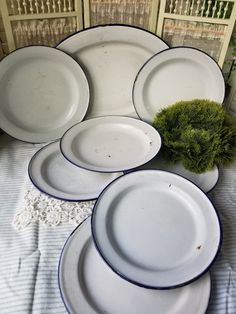 there are many plates on the table with one green plant in between them and two empty ones