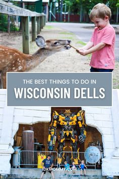 Dog Vacation, Baraboo Wisconsin, Travel Tips With Baby, Good Places To Eat