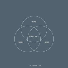 the mind, body and spirit venn diagram with words in white on a gray background