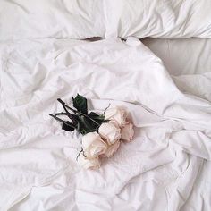 three white roses laying on top of a bed covered in white linens and sheets