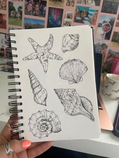 a person holding up a notebook with pictures on it and seashells in the pages