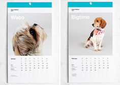 two calendars with pictures of dogs on them