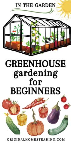 greenhouse gardening for beginners promo image Simple Greenhouse Plans, Green House Planting Ideas, Green House Gardening For Beginners, Greenhouse Beginner, Greenhouse Growing Tips, Green House Organization, Greenhouse Gardening For Beginners, Green House Planting, Green House Layout