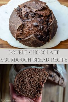 Double chocolate sourdough bread is a fun twist on a tried and true staple. Combing two favorites, sourdough and chocolate, you can’t go wrong! You’ll love this soft, chewy sourdough bread made with cocoa powder along with bursts of chocolatey goodness from the added chocolate chips. This indulgent bread has a rich chocolate flavor along with the benefits of fermented sourdough bread. Chocolate Chunk Sourdough Bread, Littlespoonfarm Sourdough Brownies, Little Spoon Farm Sourdough Bread, Great Bread Recipes, Bucket Bread Recipe, Sourdough Bread Chocolate Chip, Chocolate Sourdough Discard Bread, Choc Sourdough Bread, Dark Chocolate Sourdough Bread