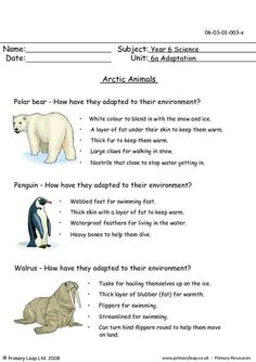 an animal worksheet for students to learn how to read and understand their environment