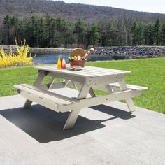 a picnic table sitting on top of a cement slab