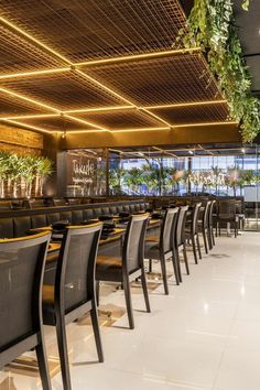 an empty restaurant with black chairs and plants hanging from the ceiling, along with white tile flooring