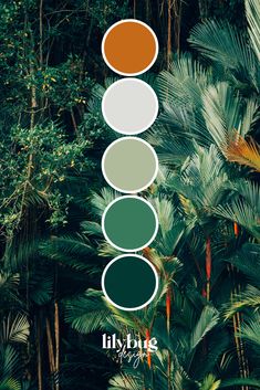 Tropical Forest Colour Palette by Lilybug Graphic Design at www.lilybugdesign.co.nz and on Etsy. Free prints, SVG's, colour palettes and activities! Graphic Design Services as well. Check out our Etsy store! Tropical Interior Color Palette, Forest Green Branding Palette, Tropical Store Design, Tropical Colours Palette, Green Paletes, Tropical Color Scheme Colour Palettes, Seasons Colour Palette, Forest Colour Scheme, Colours That Go Well With Green