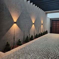 an outdoor area with several lights on the wall and plants growing in the ground next to it