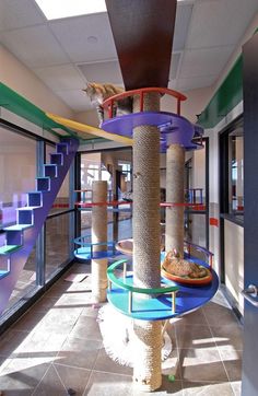 a cat sitting on top of a scratching post in a room with multiple colored stairs