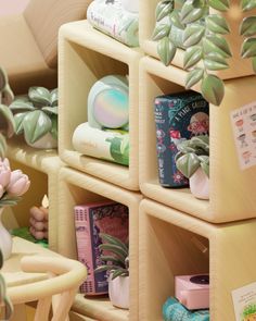 the shelves are filled with plants and books