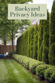 backyard privacy ideas that are easy to do in the back yard or on the front lawn