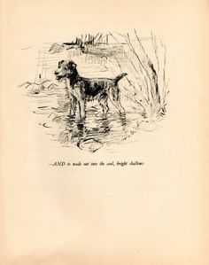 a drawing of a dog standing in the water