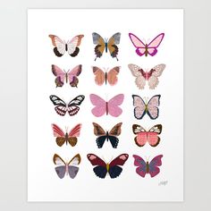 a group of different colored butterflies on a white background with the words, all in pink and