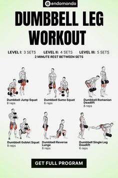 the dumbbell leg workout poster