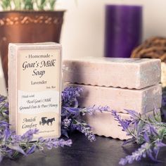 Natural Amish Goat Milk Soap | Enhanced With Oats & Honey (4 Pack) Lavender Oatmeal Honey Goat Milk Soap Recipe, Oat Milk Soap, Honey And Oatmeal Soap, Milk And Honey Soap, Sheeps Milk Soap, Oats And Honey, Amish Community, Pure Honey, Natural Exfoliant