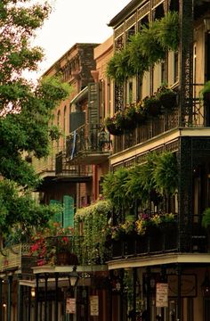 an image of a city street scene with buildings and flowers on the balconies