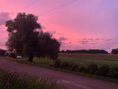 the sun is setting behind a large tree in an open field near a country road