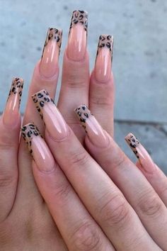 #nail design #nail inspo #elegant nails #nails #prom nails #trendy nails #minimalist nails #cool nail inspo #fourth of july nails #nude nail designs #ongle tendance ete 2024 #summer nails #coffin nails designs #coffin nails #grad nails #summer toe nails #spring nails #nail ideas #nails acrylic #nail designs #nail inspo #nagels #nägel inspiration #bored panda coin #bored panda #summer acrylic nails #simple summer nails #holiday nails #4th of july nails #beach nails #summer nails 2024 Cheetah Print Nails, Cheetah Nails, Leopard Print Nails, Leopard Nails, Funky Nails